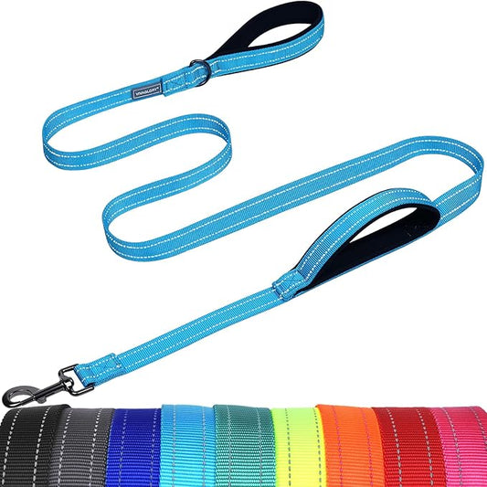 VIVAGLORY Dog Leash Twingrip Double Handle Dog Leash with Traffic Handle Control & 2 Loop for Walking & Training, Reflective Heavy Duty for Puppy Pet Collar, 5ft x 1in, Lake Blue