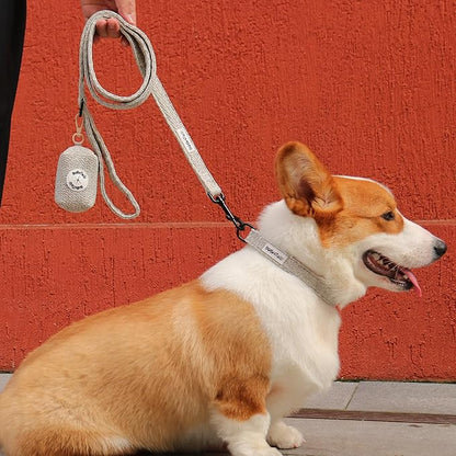 5 FT Stylish Dog Leash, Soft Dog Leashes with Comfortable Padded Handle, Metal Carabiner Clip, Strong No Pull Pet Leash for Small Medium Dogs for Walking, Shopping and Running