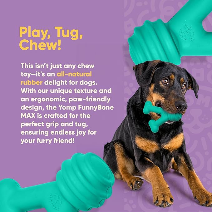 Yomp FunnyBone MAX: All-Natural Rubber Dog Toy, Nontoxic, Safe for Pet Play, Teal Colored, Dishwasher Safe, Freezer Safe for Teething Relief, Fun Dog Bone Toy