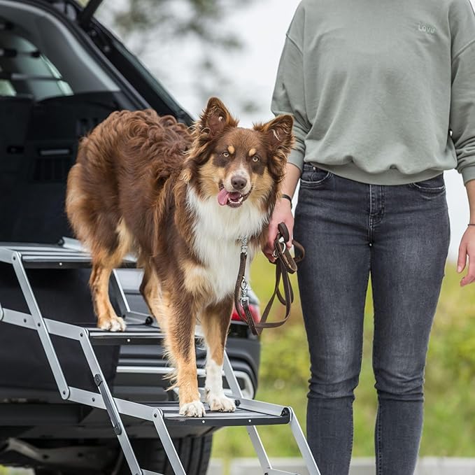 Trixie Aluminium Dog Stairs with Nonslip Rubber Surface - 4 Step Pet Stairs for Beds and Couches - Foldable and Easy to Store - in Silver/Black