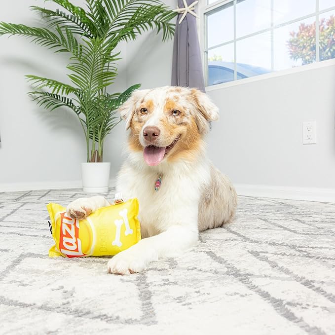 SPOT Fun Foods The Whimsical Dog Toy with Squeaker | Interactive Plush Chew and Squeak Toy for Small and Large Dog Breeds | Lazy Doggies Chips Bag, Small