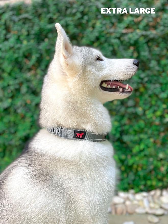Tuff Pupper Heavy Duty Dog Collar with Handle | Ballistic Nylon Heavy Duty Collar | Padded Reflective Dog Collar with Adjustable Stainless Steel Hardware | Convenient Sizing for All Breeds
