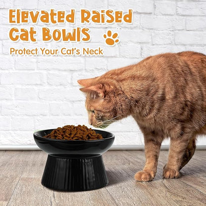 Tioncy 2 Pcs Raised Cat Slow Feeder Bowl Ceramic Elevated Cat Dog Food Bowl No Spill High Edge for Dry Wet Food and Water Easy to Clean, Dishwasher Safe (Dark Green,Black)