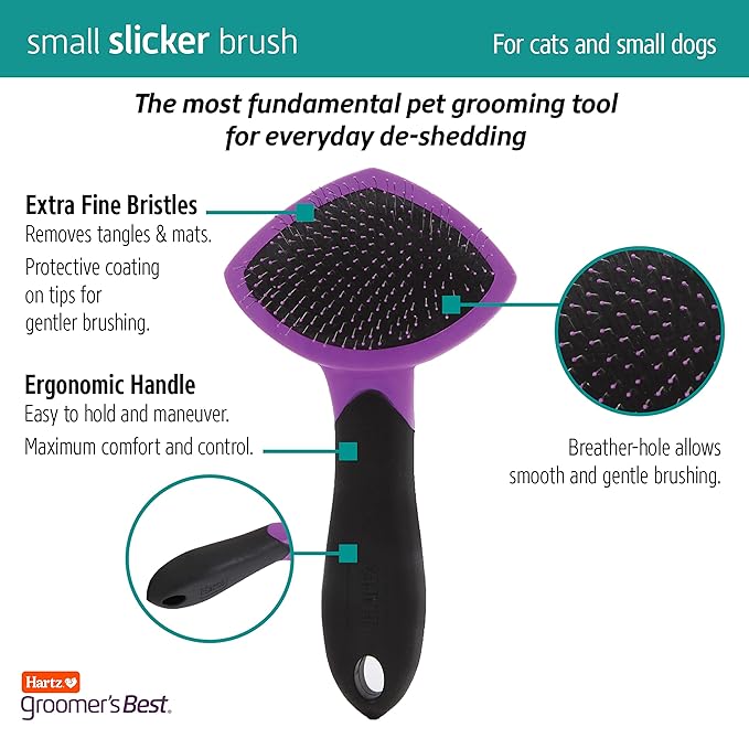 Hartz Groomer's Best Small Slicker Brush for Cats and Small Dogs, Black/Violet, 1 Count (Pack of 2)