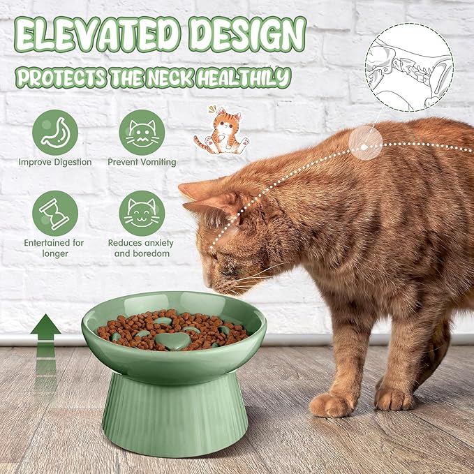 Tioncy 2 Pcs Raised Cat Slow Feeder Bowl Ceramic Elevated Cat Dog Food Bowl No Spill High Edge for Dry Wet Food and Water Easy to Clean, Dishwasher Safe(Sage Green)