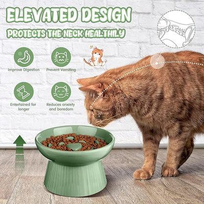 Tioncy 2 Pcs Raised Cat Slow Feeder Bowl Ceramic Elevated Cat Dog Food Bowl No Spill High Edge for Dry Wet Food and Water Easy to Clean, Dishwasher Safe(Sage Green)