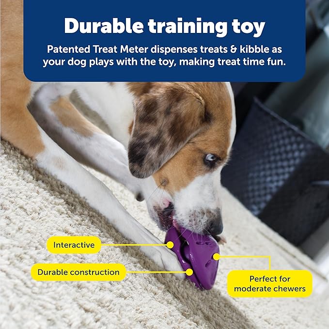 PetSafe Busy Buddy Twist'n Treat - BPA-Free Adjustable Meal Dispenser & Training Toy - Interactive Enrichment for Hard Chewers - Compatible with Hard & Smearable Treats - Helps Clean Teeth - Small