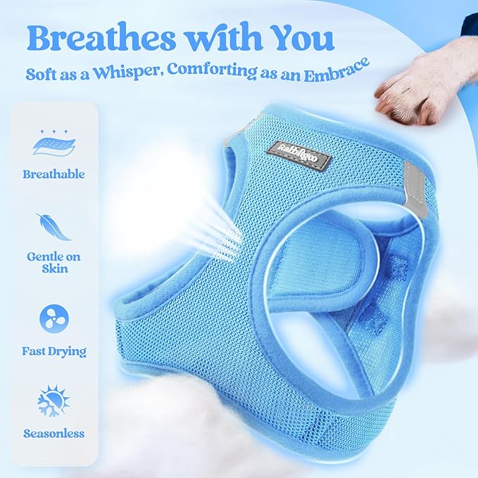 rabbitgoo Dog Harness Small Sized and Leash Set, Step in Soft Light Puppy Vest, Breathable Mesh Pet Harness, Reflective for Safe Easy Walking, Blue S