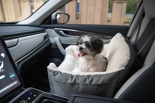Best Pet Supplies Elevated Dog Car Seat for Small Dogs, Booster Seat with Safety Tether & Storage, Washable Travel Pet Seat for Front or Back Seat, Up to 25 lbs - Gray - 21 x 20 x 14