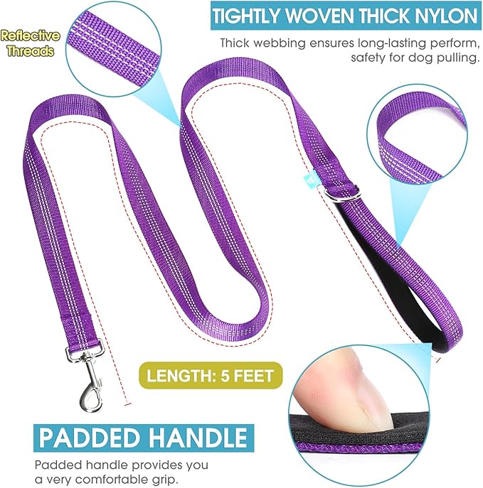 BAAPET 5 Feet Nylon Dog Leash with Triple Reflective Threads and Comfortable Padded Handle for Walking, Training Lead Small Puppy, Medium and Large Dogs (1.0'' x 5 FT, Purple)