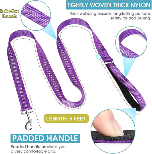 BAAPET 5 Feet Nylon Dog Leash with Triple Reflective Threads and Comfortable Padded Handle for Walking, Training Lead Small Puppy, Medium and Large Dogs (1.0'' x 5 FT, Purple)