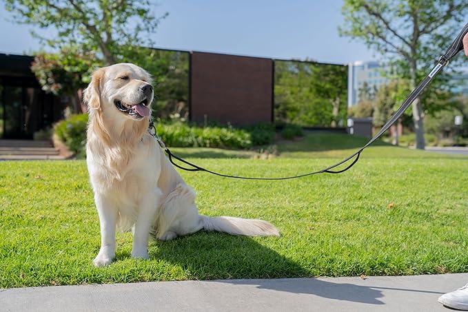 Shed Defender 5 ft. Standard Dog Leash - Three Padded Traffic Handles, Designed in the USA, Dual Layered Thickness Heavy Duty, Reflective Stitching, Large Dogs & Small Breed, Training Lead (Red)