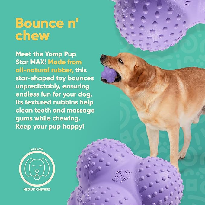 Yomp PupStar MAX Dog Toy – Star-Shaped, Bouncing Ball with Nubbins for Dental Health, Dishwasher Safe, Fun Bounce Path, Made of Non-Toxic, All-Natural Rubber