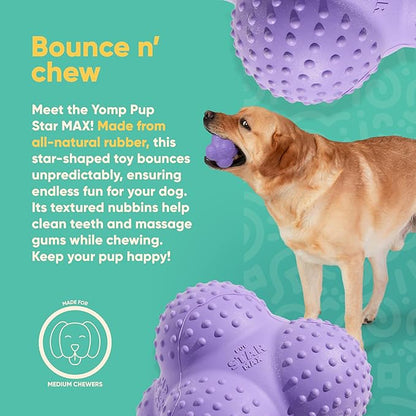 Yomp PupStar MAX Dog Toy – Star-Shaped, Bouncing Ball with Nubbins for Dental Health, Dishwasher Safe, Fun Bounce Path, Made of Non-Toxic, All-Natural Rubber
