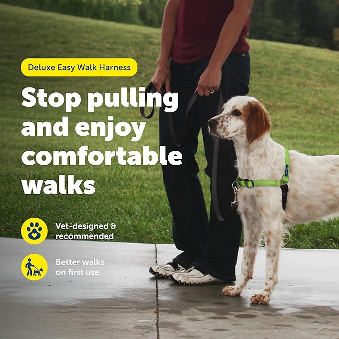 PetSafe Easy Walk Deluxe Dog Harness, No Pull Dog Harness – Perfect for Leash & Harness Training – Stops Pets from Pulling and Choking on Walks – Medium, Apple