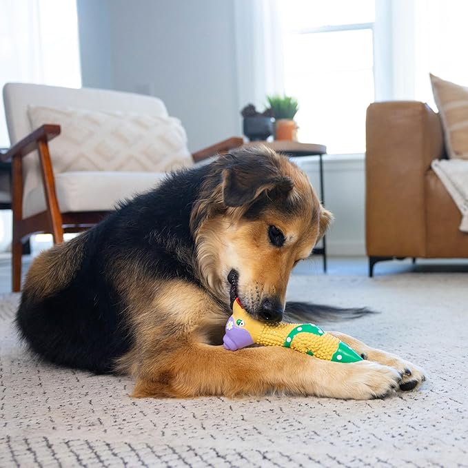 Outward Hound by Charming Pet Squawkers Grandma Hippie Chick Latex Squeaky Rubber Chicken Dog Toy, Funny Interactive Holiday Toy for Dogs, Large Size