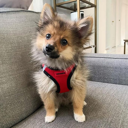Best Pet Supplies - All Weather Mesh / Plush, Reflective, No Pull Harness for Small, Medium Dogs, Cats - Secure with Hook & Loop Fastener, Buckle, Double D-Rings - Red/Black Trim, XL