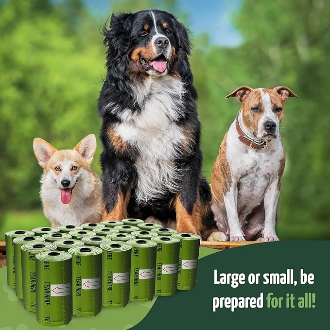 Reli. Biodegradable Dog Poop Bags w/Holder (360 Count - 24 Rolls) | 9x13" Large Dog Bags for Poop w/Dispenser | Green Eco-Friendly | Oxobiodegradable Pet Waste Disposal Refills (Unscented)