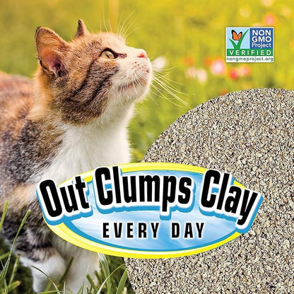 SmartCat All Natural Clumping Cat Litter, 10 Pound (160oz 1 Pack) - Alternative to Clay and Pellet Litter - Chemical and 99% Dust Free - Unscented and Lightweight