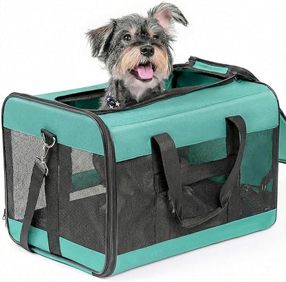 Dog Carrier Soft Sided, Large Cat Carrier with Inner Safety Leash, Pet Transport Carrier for Large Cats and Medium Dogs up to 20 Lbs, Collapsible Travel Puppy Carrier Bag -Turquoise L