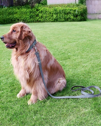 FunTags 6FT Reflective Dog Leash with Soft Padded Handle for Training,Walking Lead for Large & Medium Dog,1 Inch Wide,Grey