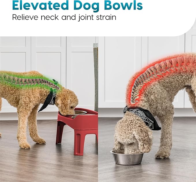 IRIS USA Adjustable Elevated Dog Bowls, Raised Feeder with 2 Stainless Steel 64 oz Bowls, Spill-Guard Rim, 12.25" or 4.63" Heights, Durable Plastic, Made in USA, Red