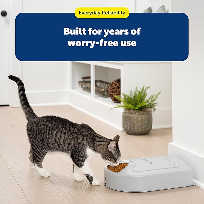 PetSafe Automatic Dog Feeder, 5 Meals, 40 oz Capacity, Plastic, for Dry Food, Multiple Pets