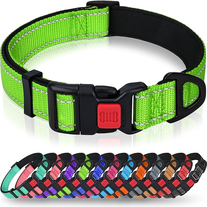 Taglory Reflective Dog Collar with Safety Locking Buckle, Soft Neoprene Padded Dog Collar for Medium Dogs, Metal D-Ring, Adjustable Nylon Neck Strap for Daily Walking, Training & Running, Green, M