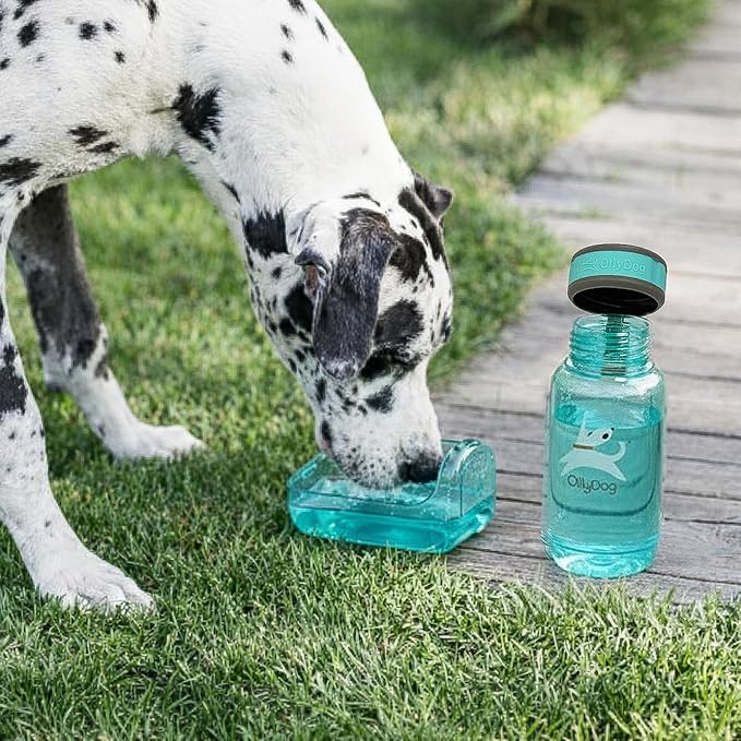 OllyDog OllyBottle, Dog Water Bottle with Detachable Bowl, No Spill Travel Bottle for Dogs, Wide Drinking Cup, BPA-Free Tritan, Easy Clean, Convenient for Walking & Hiking (600ML, Aqua Blue)