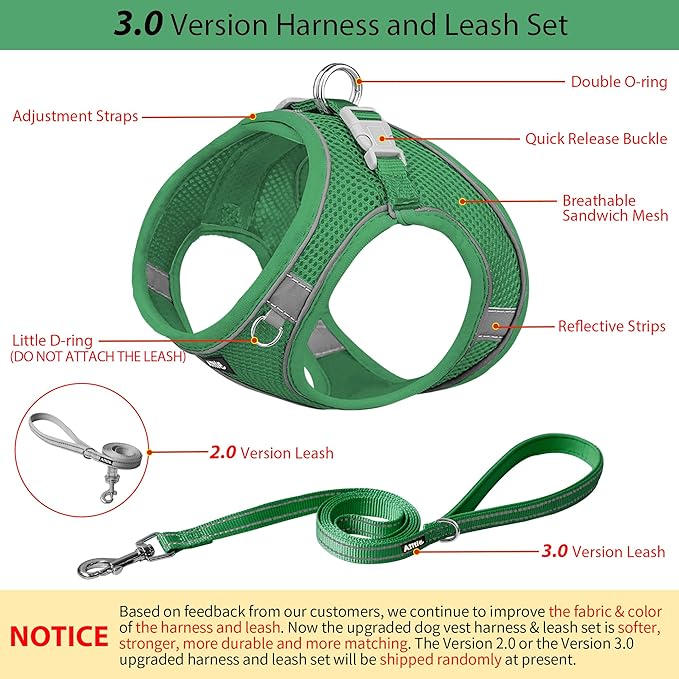 AIITLE Easy Walk Dog Harness and Leash Set - Pet Supply No Pull, Step in Adjustable Pet Harnesses with Padded Vest for Summer, No Choke Over, Easy to Put on Medium Dogs Green L