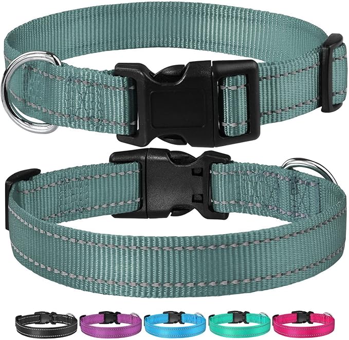 Reflective Dog Collar with Buckle Adjustable Safety Nylon Collars for Small Medium Large Dogs, Grey XS