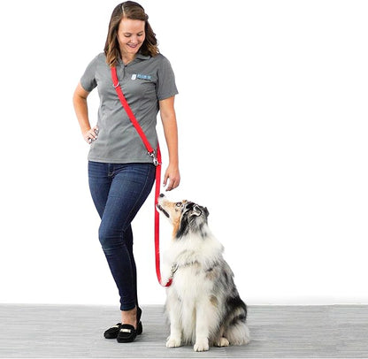 Blue-9 Multi-Function Hands Free Dog Leash, Double Attachment 6 Foot Adjustable Lead for Obedience, Running, and Agility Training, Made in The USA, Black, Small/Medium