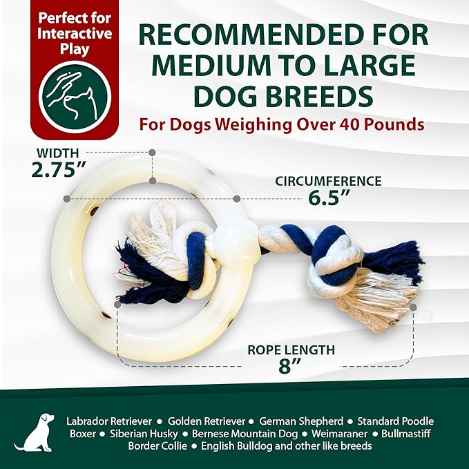 Sporn Yuppie Puppy Ultimate Marrow Filled Nylon Chew Heart with Rope Tug, White, Large (YPUS71102)