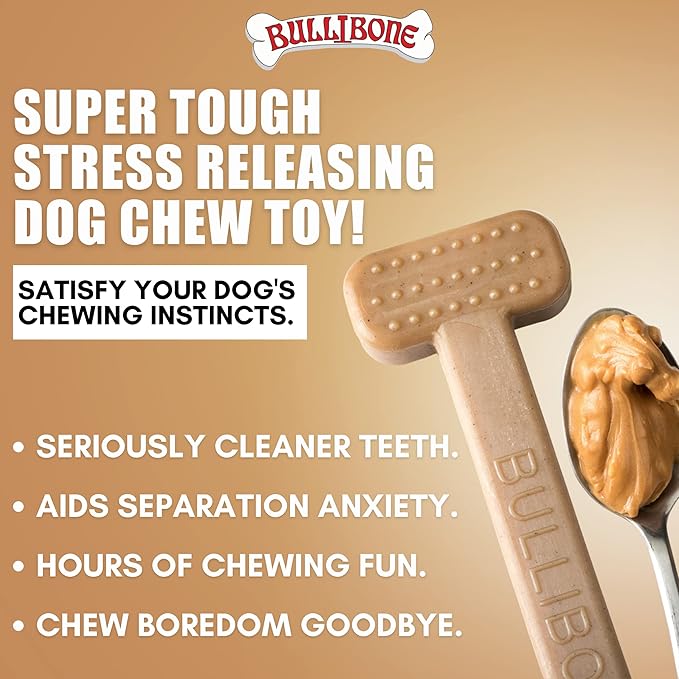 Bullibone Nylon Dog Chew Toy for Aggressive Chewers - Dental Hygiene Bone with Peanut Butter Flavor, Durable Tough Chew Toys for Small Dogs, Indestructible Dog Bone - 3 Pack