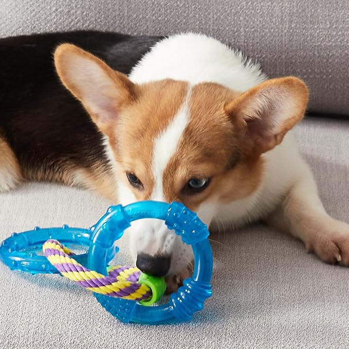 Petstages Dental Links Dog Chew Toy – Puppies & Adults, Strong Chewers, Multiple Textures & Rope, 8.5" x 4" x 1"