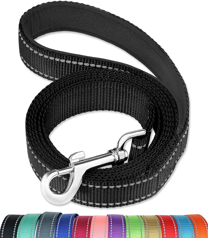 FunTags 4FT Reflective Dog Leash with Soft Padded Handle for Training,Walking Lead for Medium & Small Dogs,3/4 Inch Wide,Black