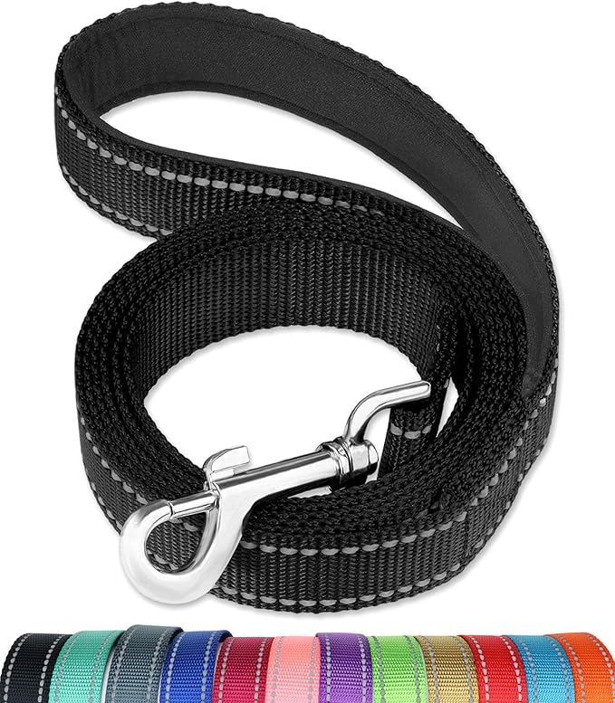 FunTags 6FT Reflective Dog Leash with Soft Padded Handle for Training,Walking Lead for Medium & Small Dogs,3/4 Inch Wide,Black