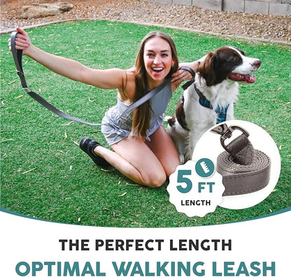 Embark Adventure Dog Leash – Strong & Durable, Colorful, 5 Ft, Suitable for Small, Medium & Large Dogs, Blue