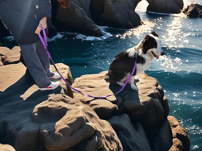 Multifunctional Hands Free, 6.5ft Nylon Adjustable Training Crossbody Dog Leash for Small/Medium/Walking Running Hiking Dog Leash (Purple)