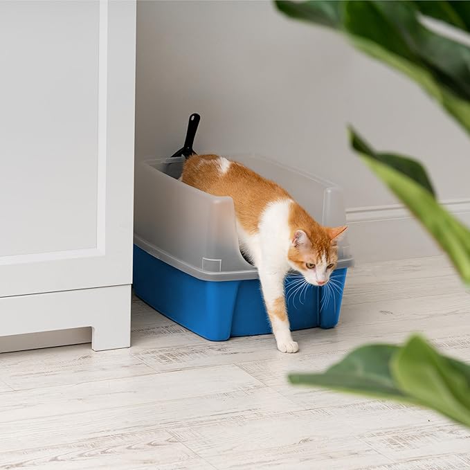 IRIS USA Large Open Top Cat Litter Box with High Sided Walls Tall Scatter Shield Scoop Included Easy Clean Plastic Pan Stain Resistant for Big Cats Kittens Indoor Multi-Cat Households