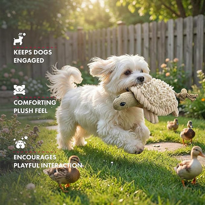Pet Lou 6 Inch Turtle Dog Chew Toy with Squeaker, Durable Nubby Multi-Texture Plush Toy for Indoor & Outdoor Play, Stuffed Dog Toy for Teething, 100% Natural