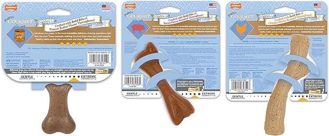 Nylabone Gourmet Style Femur, Wishbone, & Stick Strong Chew Toy for Puppies, Bacon, Chicken & Peanut Butter Flavor, Small - Up to 25 Ibs, 3 Pack