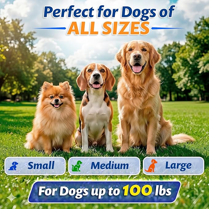 16.4 ft Retractable Dog Leash - Heavy Duty Tape Leash with Strong Nylon Tape - 360° Swivel Control - One-Click Brake & Lock - Ergonomic Non-Slip Grip for Small Medium & Large Dogs up to 100 lbs