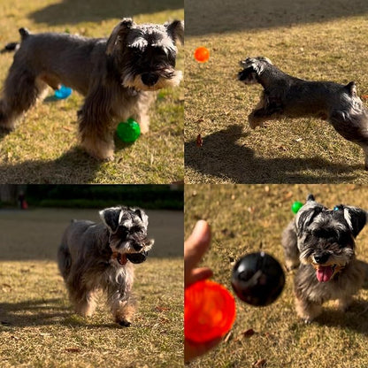 ADUCK Squeaky Dog Chew Ball Toys, [Meteorites Bouncy Series] Bite Resistant Fetch Ball for Aggressive Chewers, Non-Toxic Soft Rubber, Cute Crystal Design - 3.15 Inches (4 Colors)