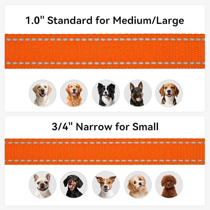 Joytale Dog Leash, 4 FT Double-Sided Reflective, Padded Handle Nylon Heavy Duty Leashes for Small Dogs Walking, Orange