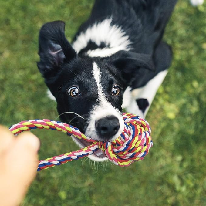 6 Pack Dog Rope Toys for Small Medium Large Breed, Tough Chew Rope Tug Toy for Dogs, Flying Disc Fetch Toy Dog Rope Ball, Interactive Toy for Boredom, Puppy Teeth Cleaning