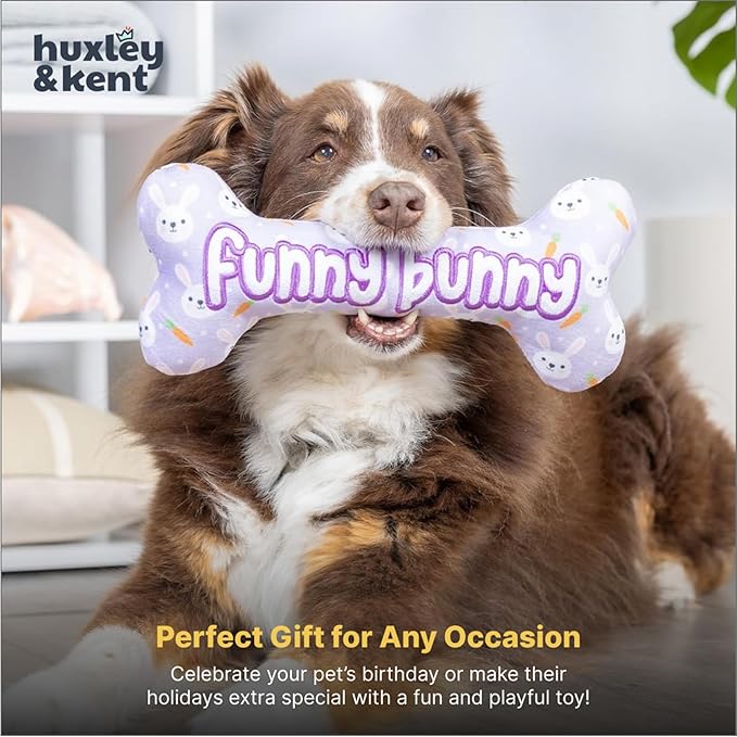 Huxley & Kent Funny Dog Toy w/Squeaker – Power Plush Squeaky Dog Toys for Small, Medium & Large Dogs – Soft Stuffed Animal for Indoor Play & Fetch - Funny Bunny Bone, Small
