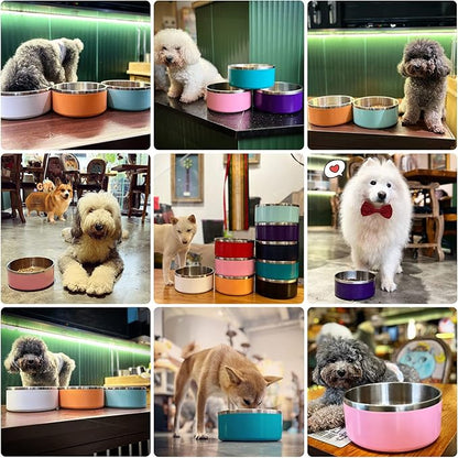 IKITCHEN Dog Bowl for Food and Water, 64 Oz Stainless Steel Pet Feeding Bowl, Durable Non-Skid Double Wall Insulated Heavy Duty with Rubber Bottom for Medium Large Dogs (64 Ounces/8 Cup, MintGreen)