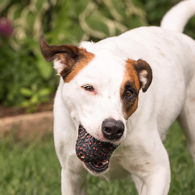 Mammoth Supreme Dog Toy Collection, Large Supreme Treater
