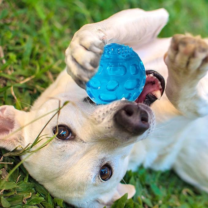 3'' Squeaky Dog Toy Balls for Lagre Medium Breed, Indestructible Dog Balls for Playing, Fetching & Retrieving, Durable Aggressive Chewers, 2 PCS Green+Purple